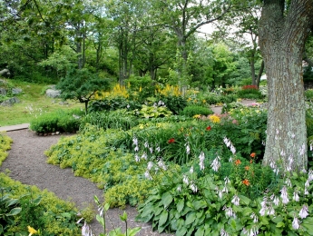 Besök i privata trädgårdar